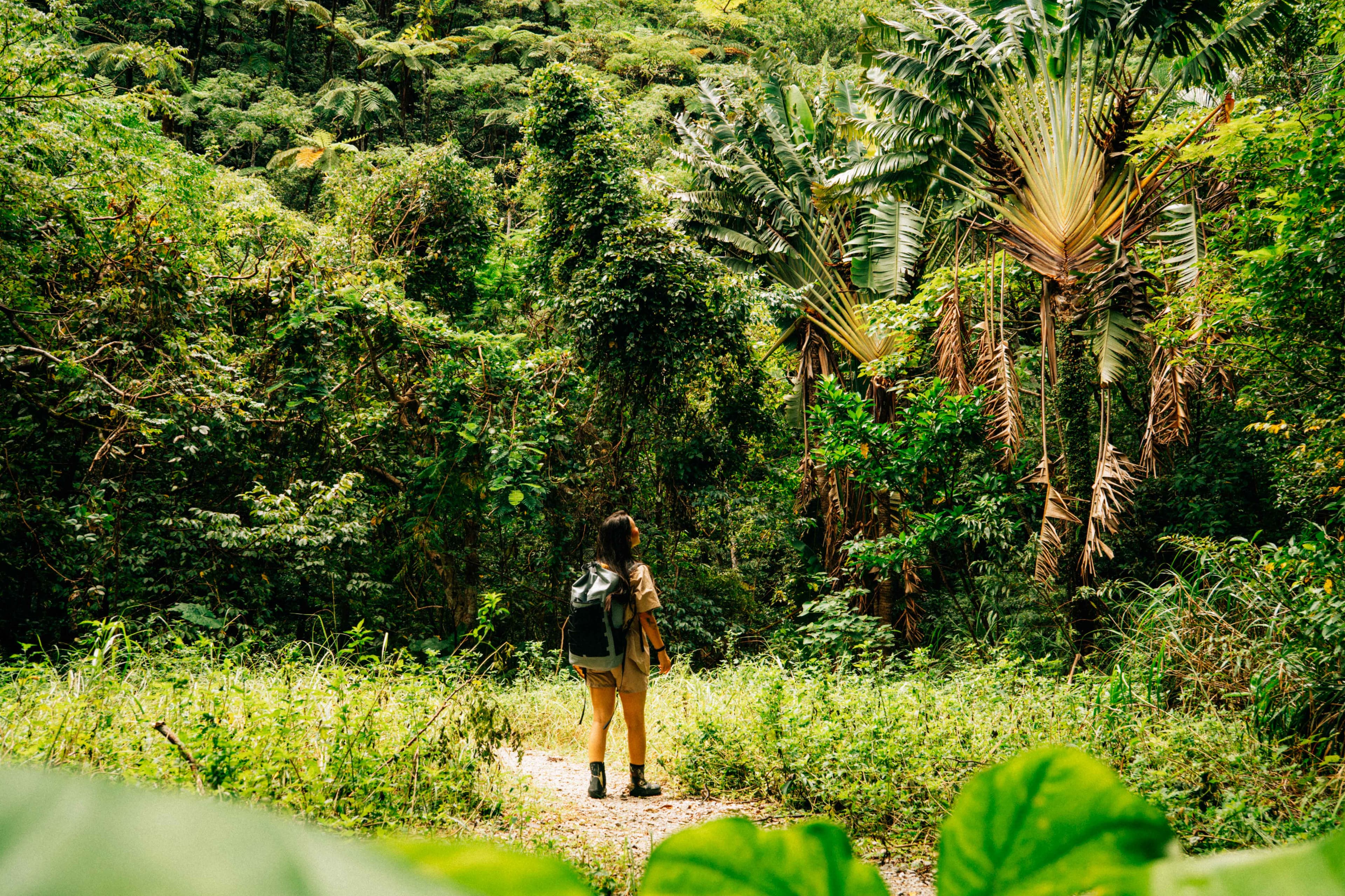Northern Okinawa Tour