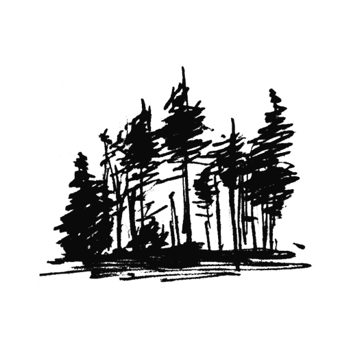 Northern forests